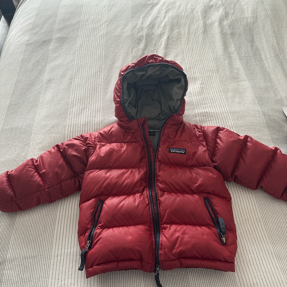 Patagonia HI-LO toddler jacket